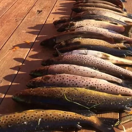 Storliholmen With 170m Freshwater Line And Trout Fishing Rights *
