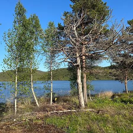 Storliholmen With 170m Freshwater Line And Trout Fishing Rights *