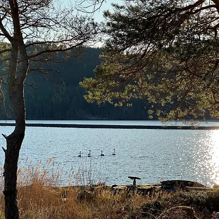 Storliholmen With 170m Freshwater Line And Trout Fishing Rights Sandvika (Lierne)